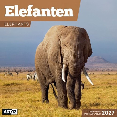 Elefanten kalender 2027 - kalender,