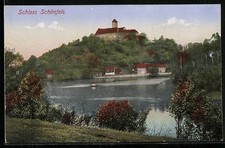 Schönfels, Schloss Schönfels