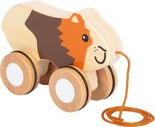 Nachziehtier meerschweinchen - nachziehtier,