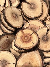 Baumscheiben Pflaumenholz 50