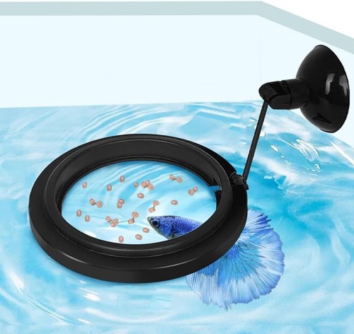 Transparenter