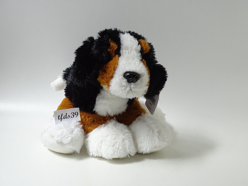 Galeria hund floppy rottweiler - galeria,