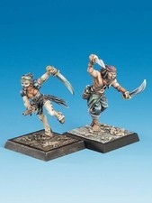 Auswahl: FREEBOOTER´S FATE -