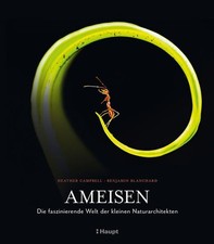 Ameisen die faszinierende - -,