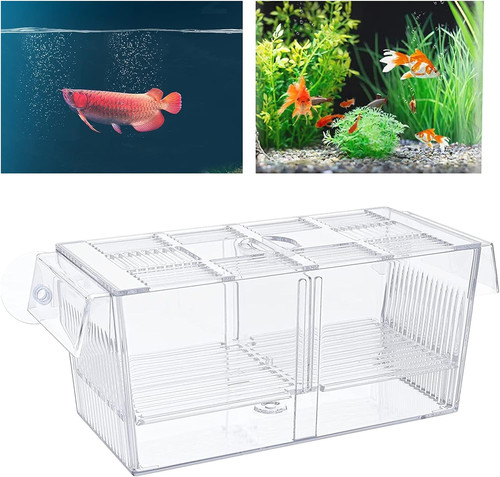 Aquarium aufzuchtbecken für - aufzuchtbecken,