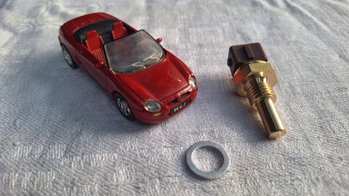 Rover mini - rover,