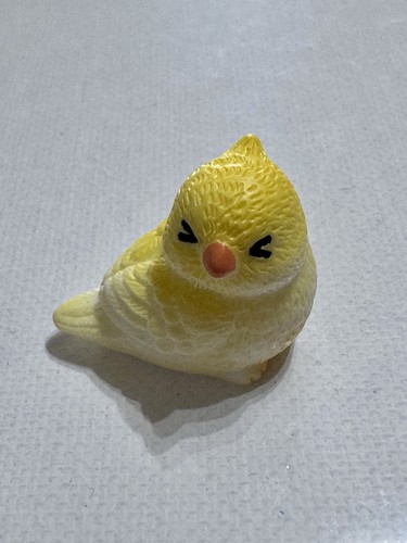 Papagei vogel mini - vogel,