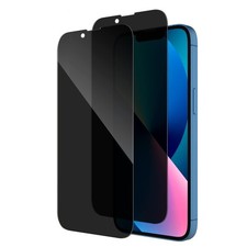 2x Blickschutz Panzerfolie