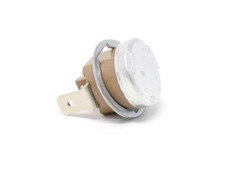 GAGGIA SAECO  Thermostat