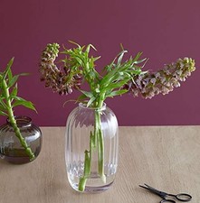 ღღஐ TOP !! Holmegaard