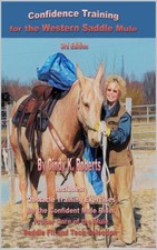 Cindy K Roberts Confidence