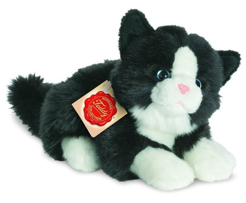 Schwarz weiß katze - &, von