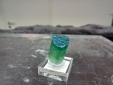 Turmalin -Electric-blue - Piaui Valley - Minas Gerais -Brasilien