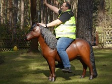Pony lebensgroß pferd - lebensgroß,