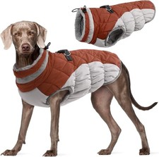 Hundejacke wintermantel - hundejacke,