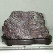 Suiseki Bonseki Bonsai