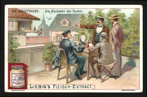 Sammelbild liebig brieftaube - liebig,,
