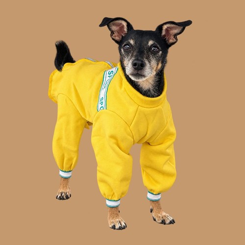 Hunde jogginganzug jogger - jogginganzug,