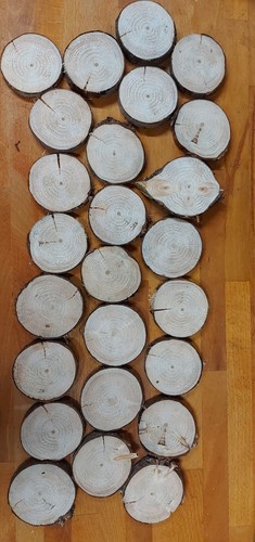 Baumscheiben astscheiben - baumscheiben,