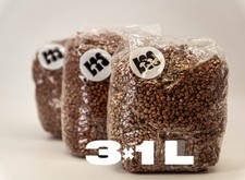 Bio Weizen Substrat 3×1 L steril – Pilzzucht Beutel mit Mikrofilter & Impfport