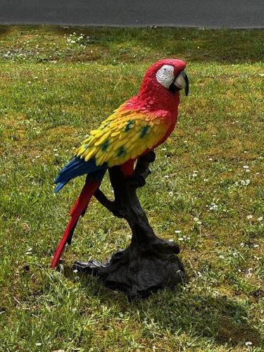 Gartenfigur papagei auf - papagei, stamm