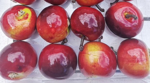 äpfel deko künstliche - Äpfel,