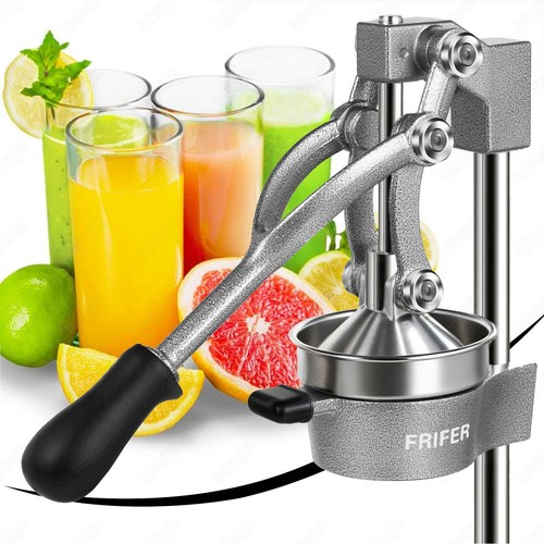 Professionelle saftpresse - professionelle,
