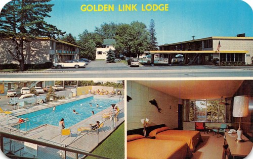 Joseph michigan golden link - michigan-golden,