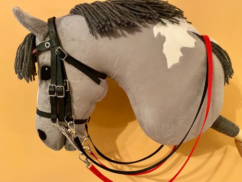 Kandare für hobby - für, horse