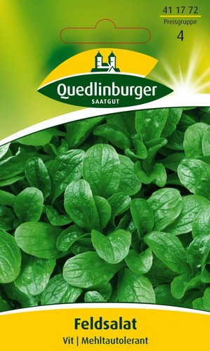 Feldsalat vit - feldsalat, "vit"