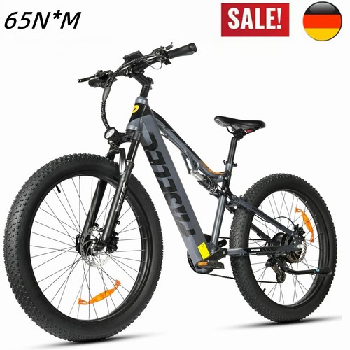 Mtb 16ah pedelec 1000w motor - 1000w,