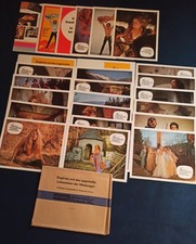 AF Siegfried und das