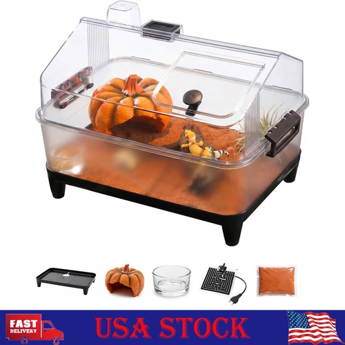 Terrarium kit with lid - with,