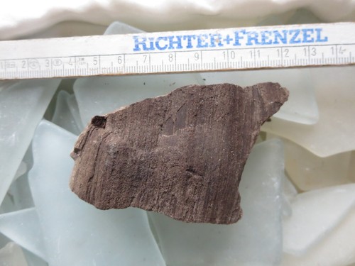Fossiles verkieseltes holz - verkieseltes,