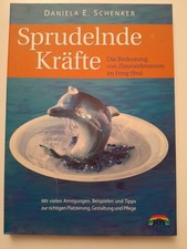 Sprudelnde Kräfte - Die Bedeutung von Zimmerspringbrunnen im Feng Shui