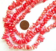 M6-06 - BAMBUSKORALLE ÄSTCHEN