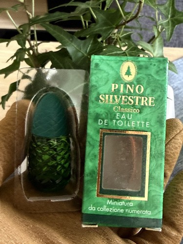 Pino silvestre miniatur edt - silvestre,