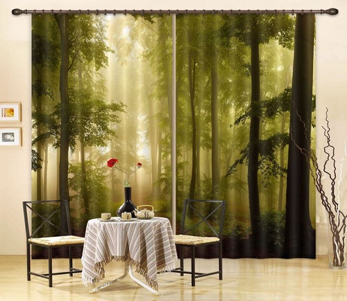 Warmer wald zhuc4977 foto - warmer,