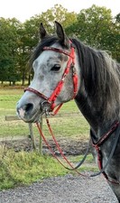 Perfeq matt rot Kombination