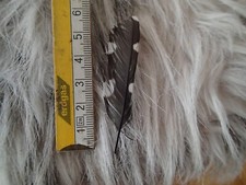 Buntspecht Feder  Schmuck Tracht Hut Gesteck Deko Hut Schmuck Basteln Ohrringe