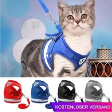 Katzengeschirr mit Leine