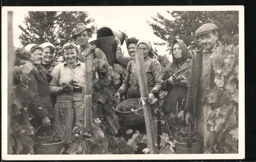 Fotografie bauern bei - bauern,