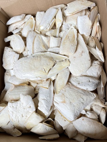 500g sepiaschalen zerbrochen - 500g,