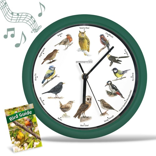 Wanduhr mit vogelstimmen - wanduhr,