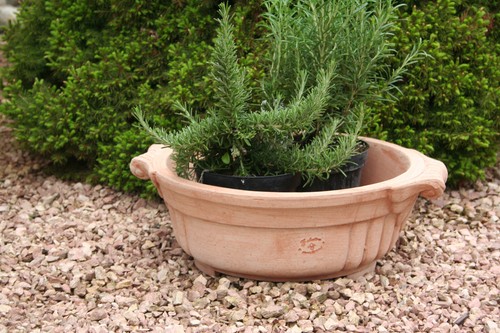 Terracotta tontopf terrakotta - tontopf,