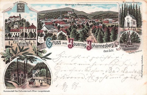 Jauernig johannisberg - ak, jauernig-johannisberg