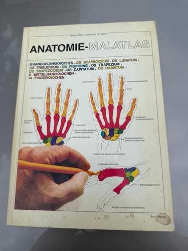 Anatomie malatlas kapit - anatomie-malatlas,