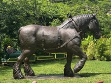 lebensgroßes Belgisches