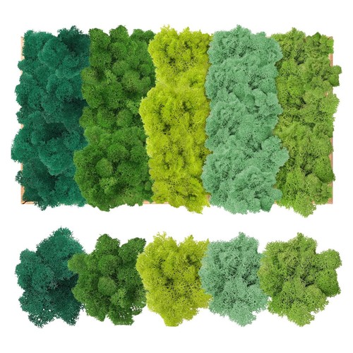 Islandmoos farben - islandmoos,