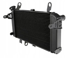 Kühler Wasserkühler für SUZUKI SFV 650 GLADIUS Bj. 2009-2016 